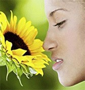 �ճ������б������ӣ�Ԥ�����и�ƫ��