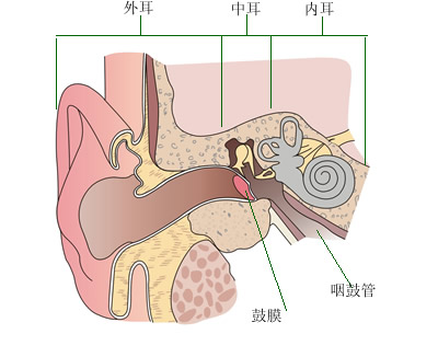 耳科医生谈:耳朵嗡嗡响的原因及治疗