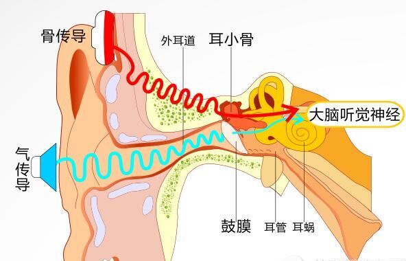 耳朵听不清是耳朵有问题吗?