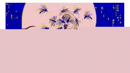 恼人的耳朵响是什么原因引起的