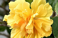 鼻窦炎有哪些注意事项