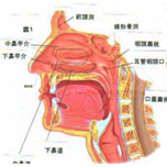 “症状”没了解 “治疗”有意见