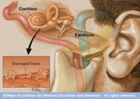 �����ơ����ƶ�����ŧ�ļ�ҽԺ��?