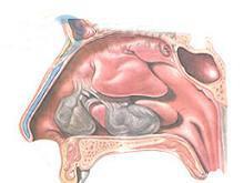 ���Ա���׵Ĳ�����ʲô