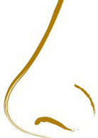 ���и�ƫ��Ҫ����Щ����أ�