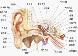 ҽ�������������ּ�